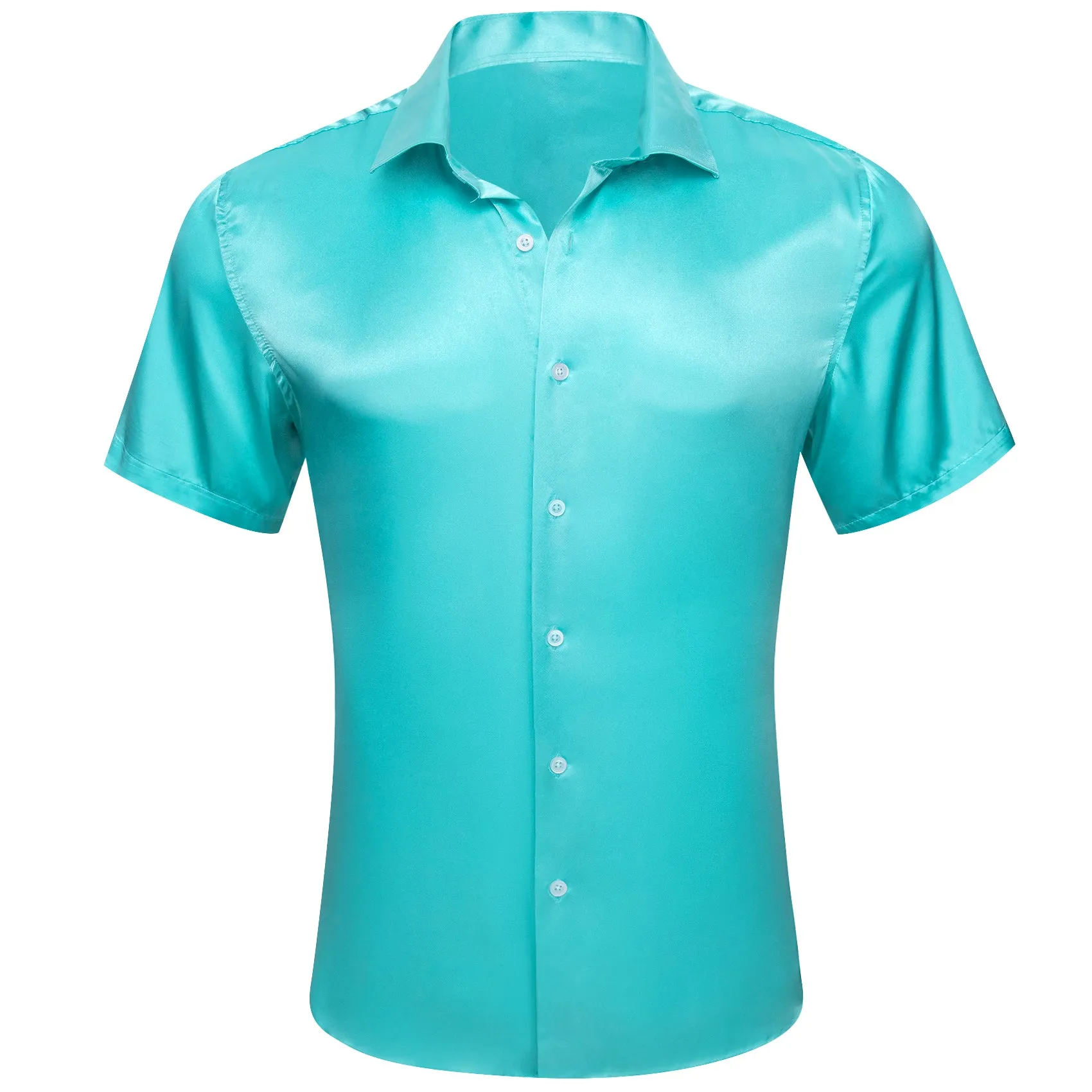 Barry Wang Casual Shirt Pale Blue Solid Short Sleeves Button Up Shirt