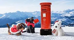 Winter Warmer Pippa Black Labrador